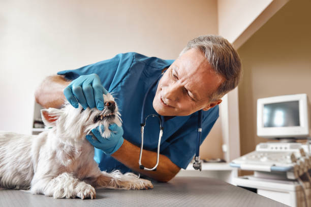 Best Weekend Emergency Dentist in Jersey City, NJ